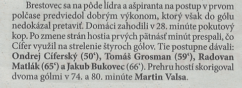 článok z novín