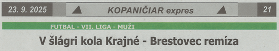 článok z novín