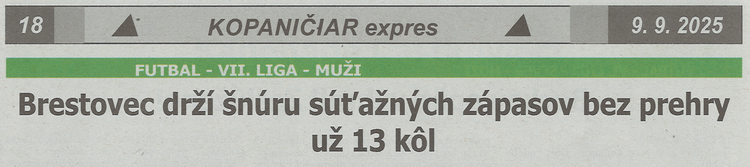 článok z novín