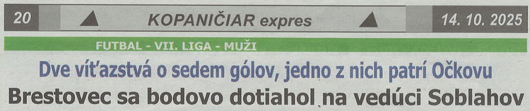 článok z novín